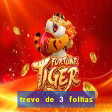 trevo de 3 folhas significado espiritual